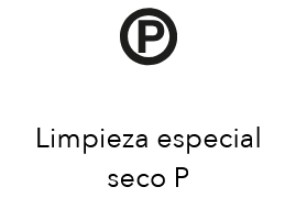 limpieza en seco