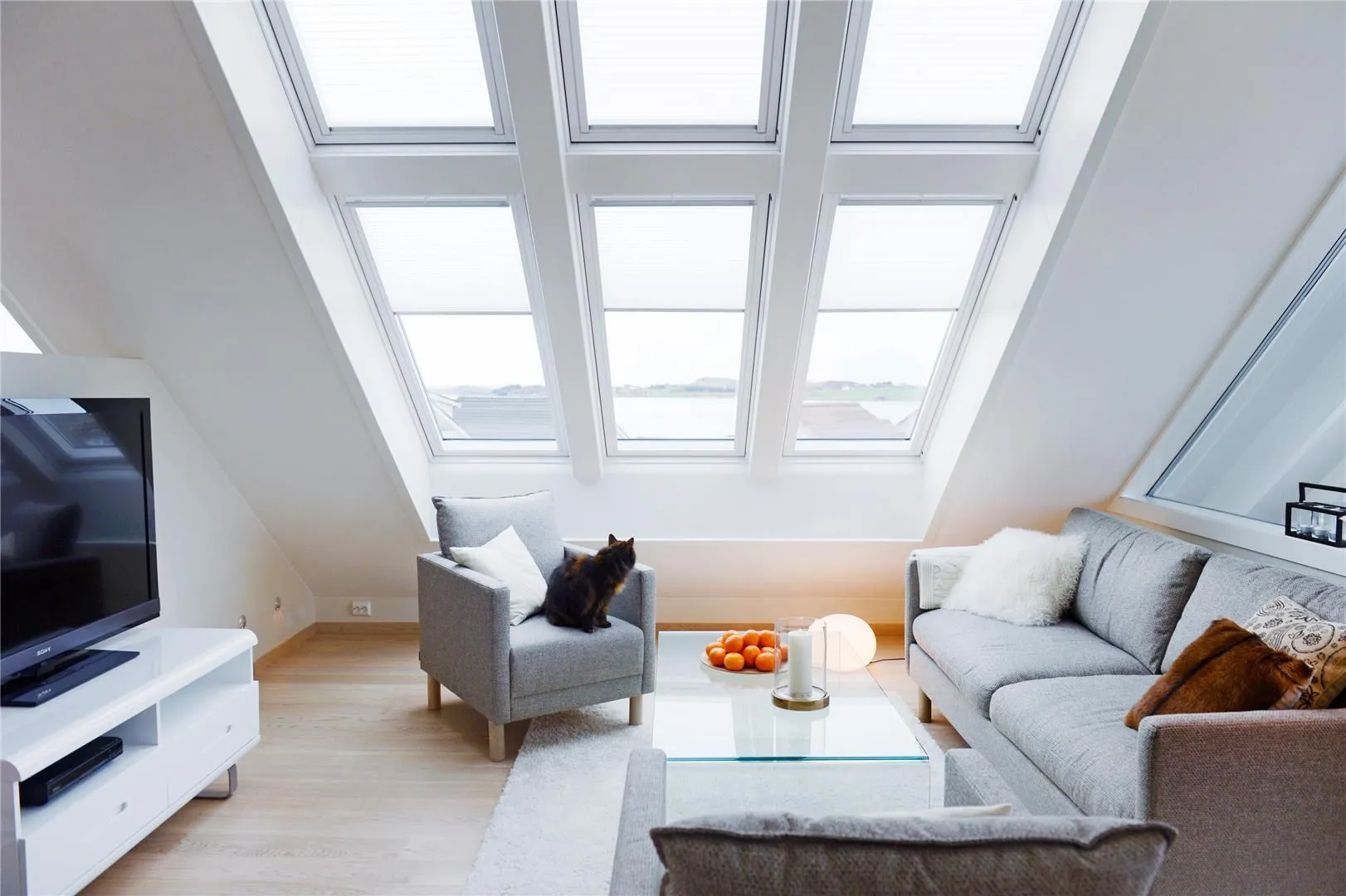 Foto de estores traslucido blanco.