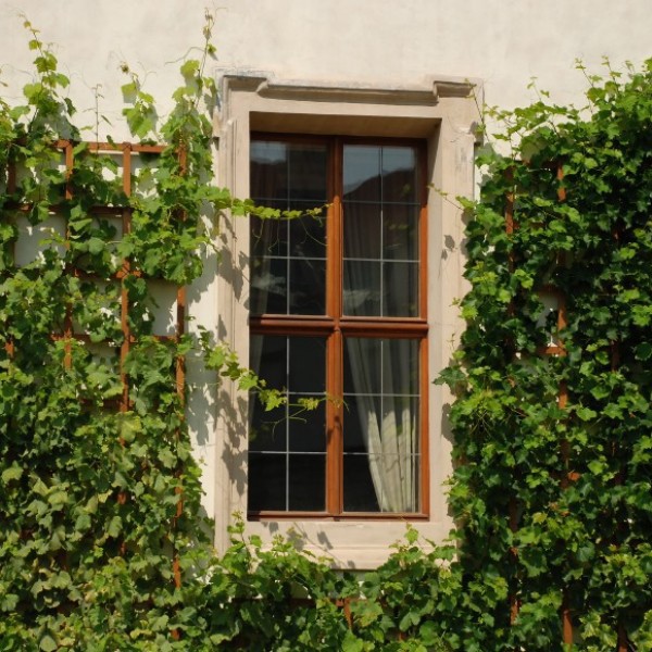 Foto lamina solar neutral 50 sr