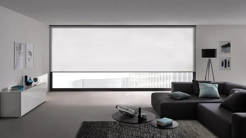 Foto cortina plisada sistema colgado extra grande duette de MHZ